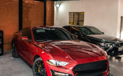 ¿Cómo reconocer una pintura vehicular?